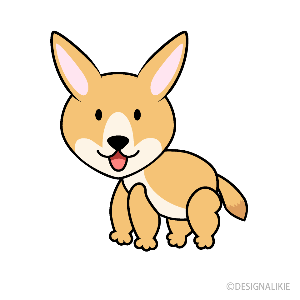 フェネック