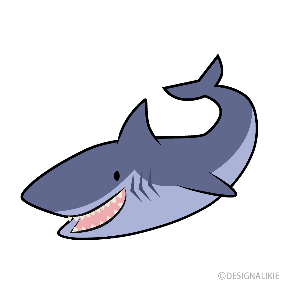かわいいサメ