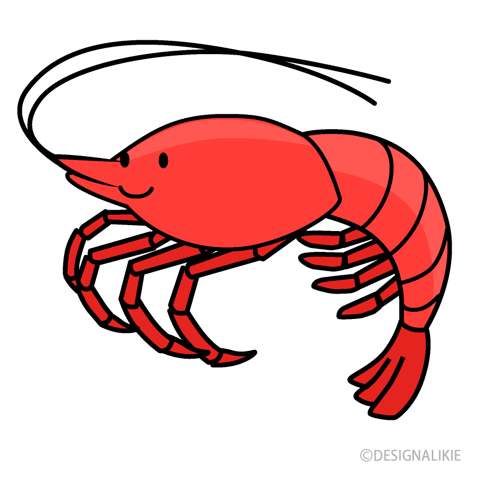 かわいいエビ