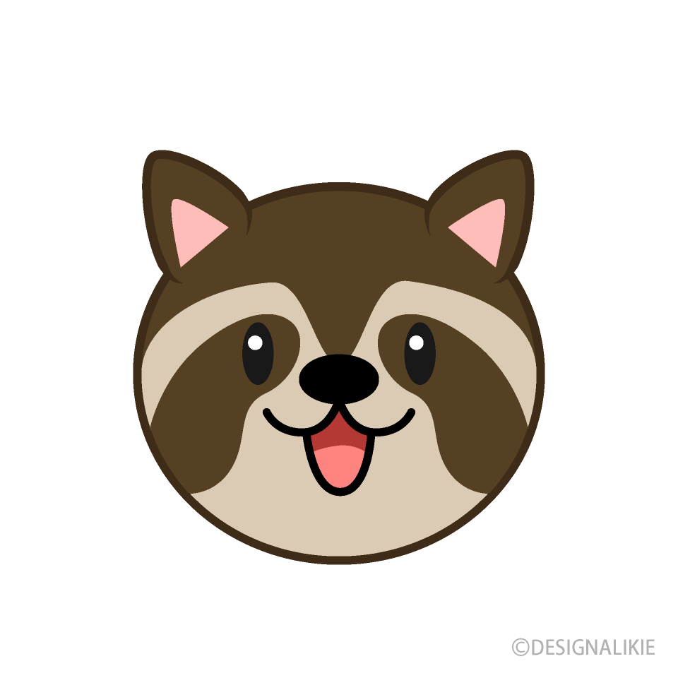 可愛いアライグマの顔