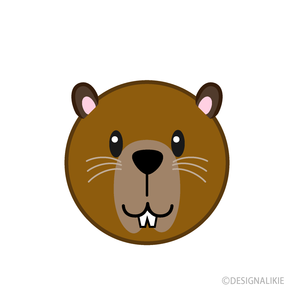 可愛いカピバラの顔
