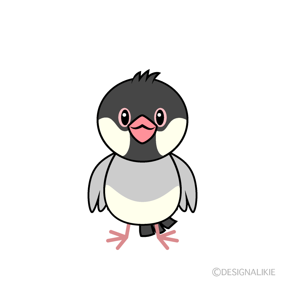 かわいい文鳥キャラ
