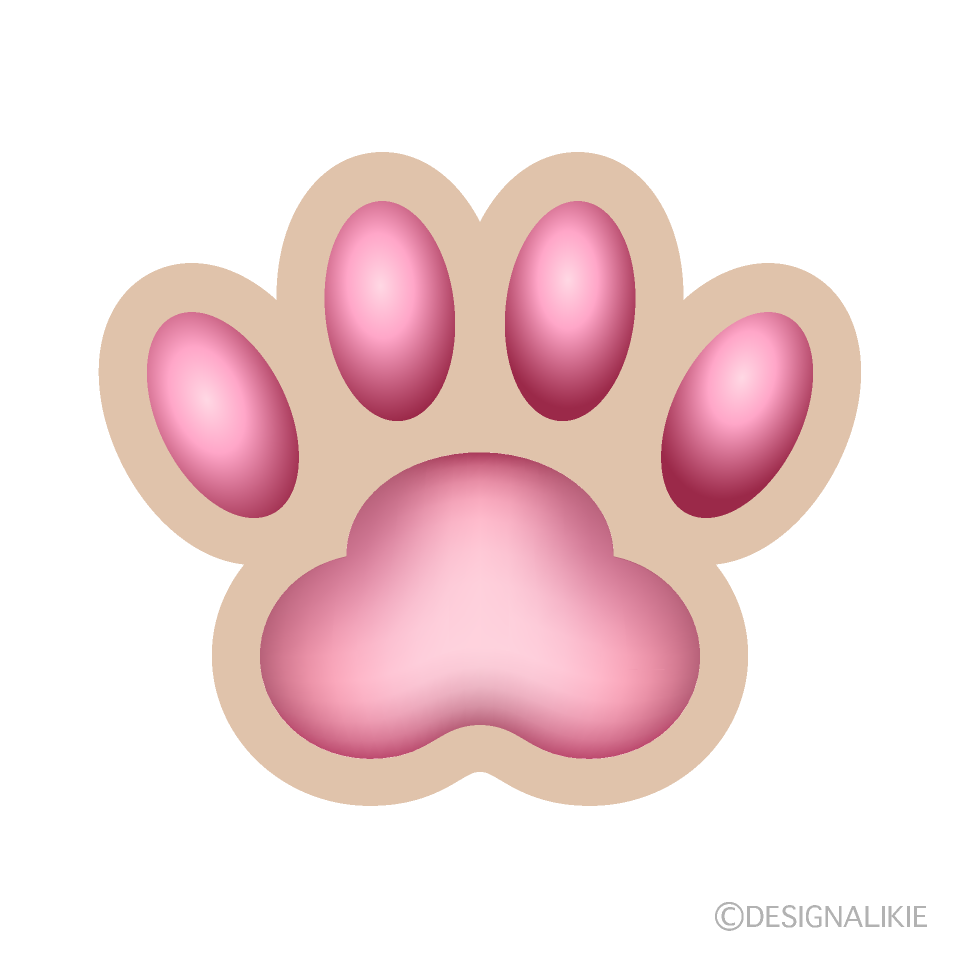 ぷにぷにしたピンクの肉球