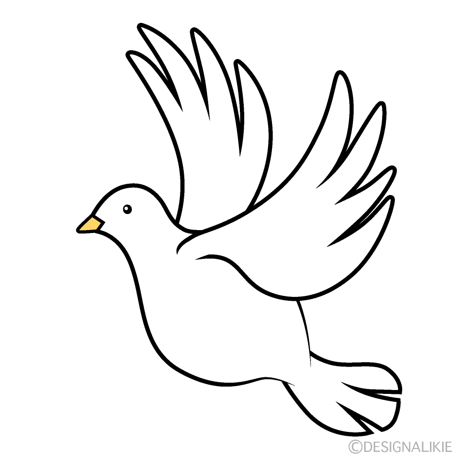 かわいい鳩