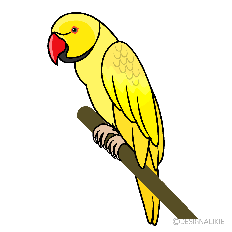 黄色のオウム