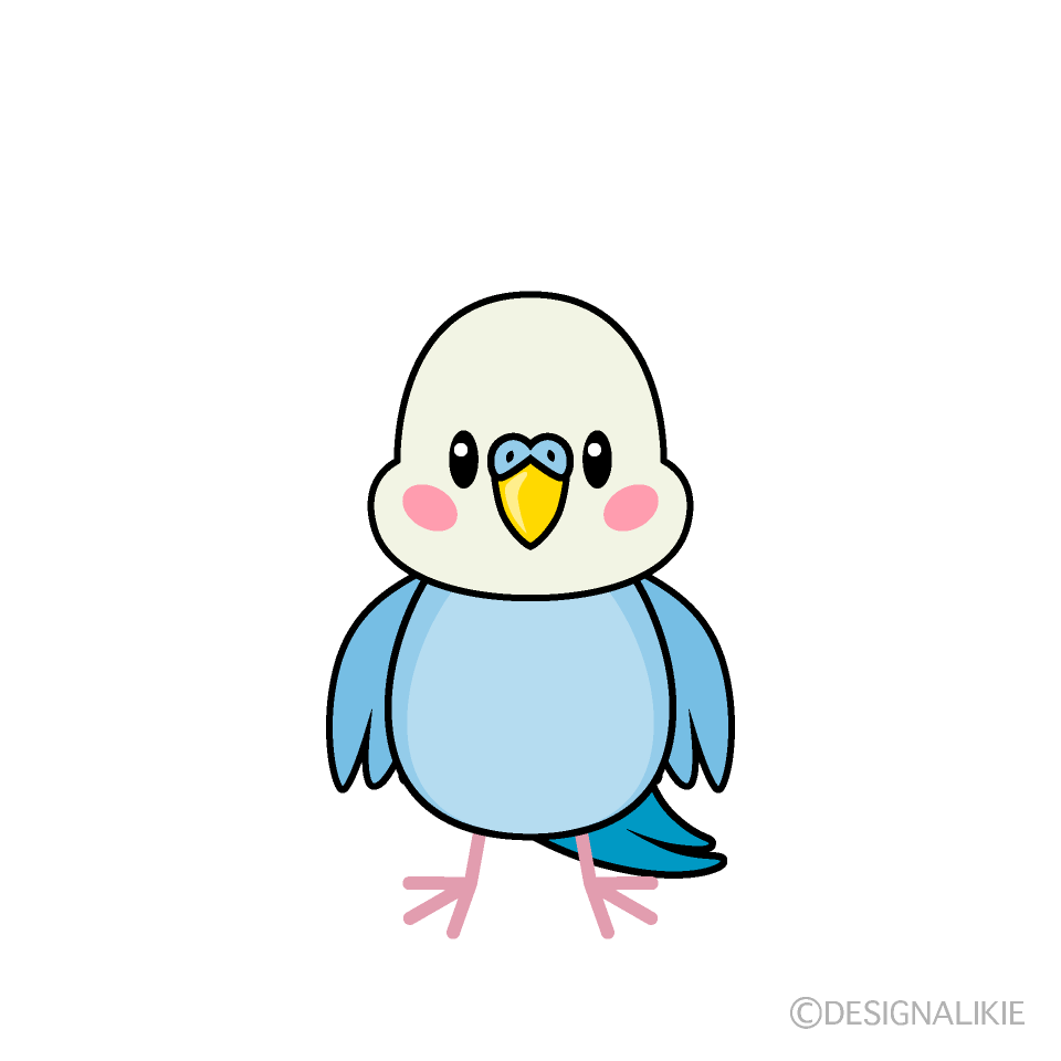 かわいいセキセイインコキャラ
