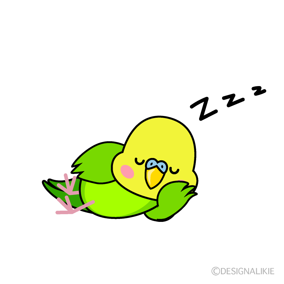 寝るインコキャラ