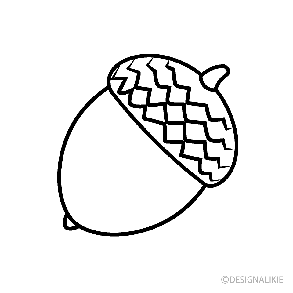 白黒どんぐり