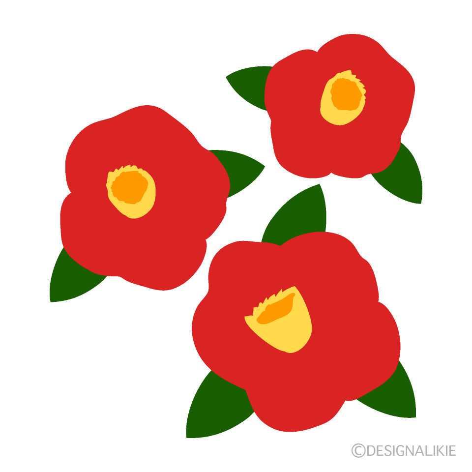 椿の花