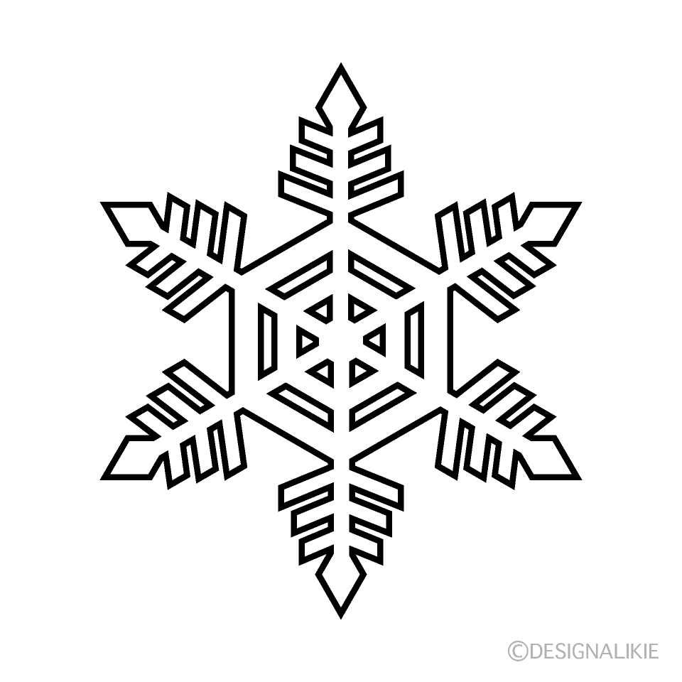 白黒 雪結晶 1