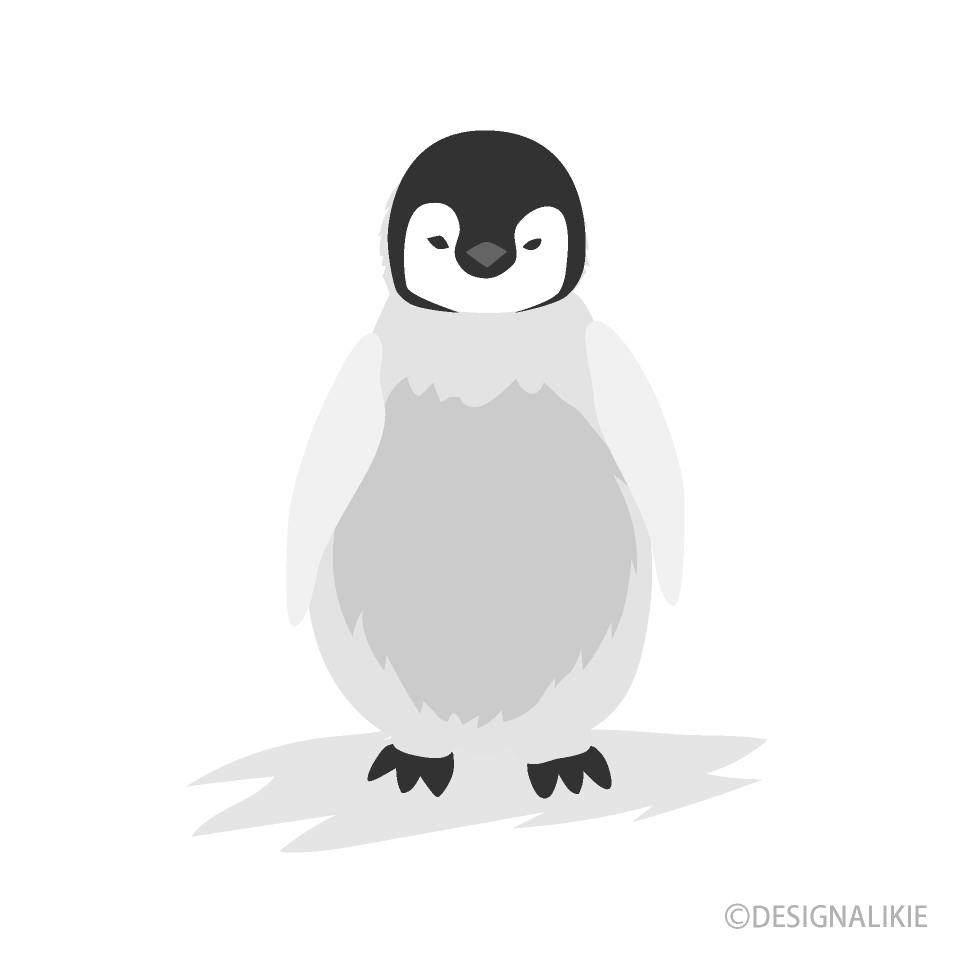 コウテイペンギンの赤ちゃん