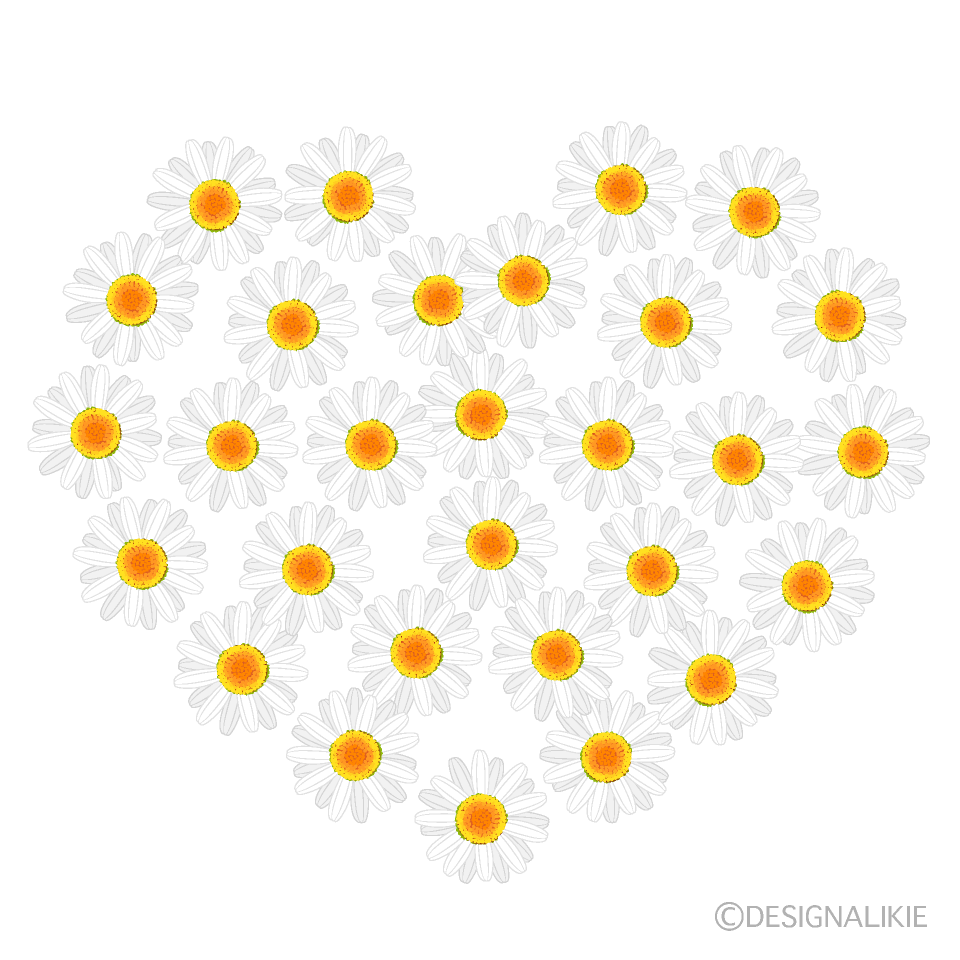 ヒナギクのハート