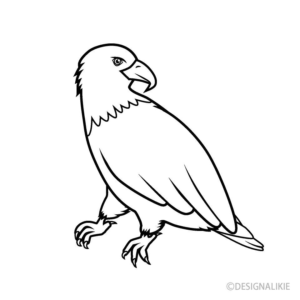 振り向く鷲（白黒）