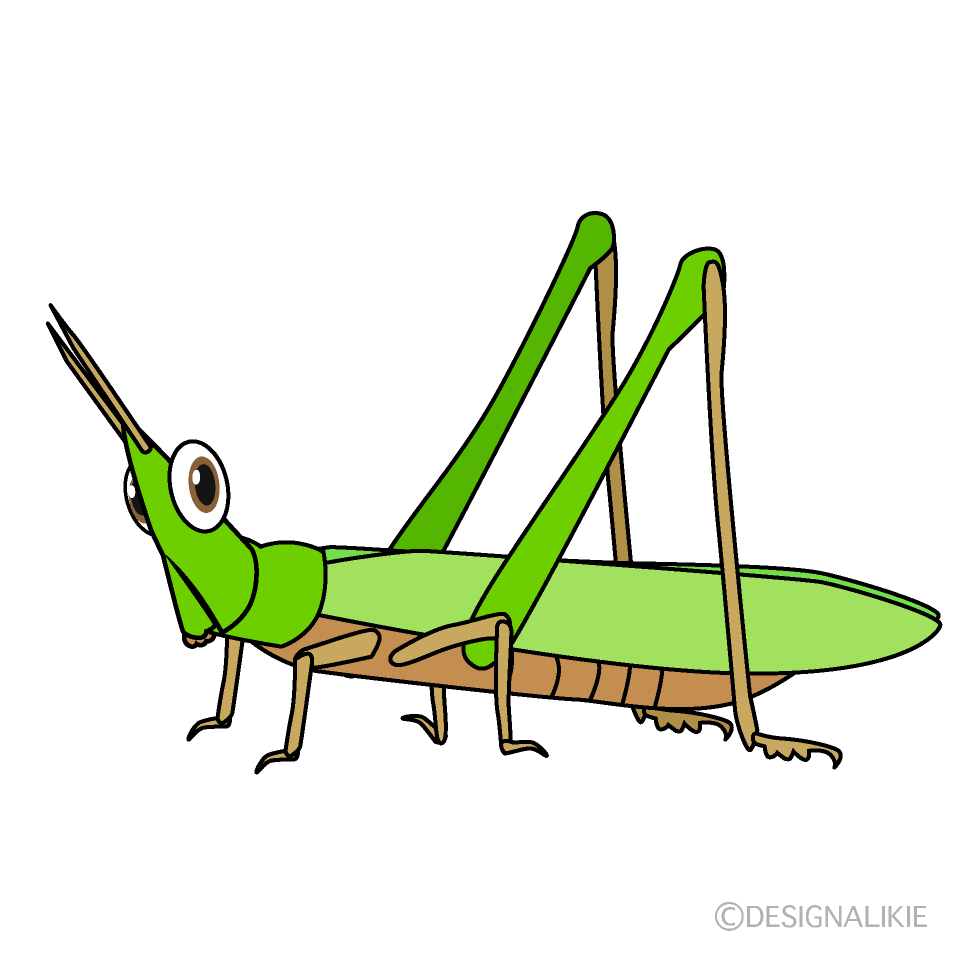 ショウリョウバッタキャラ
