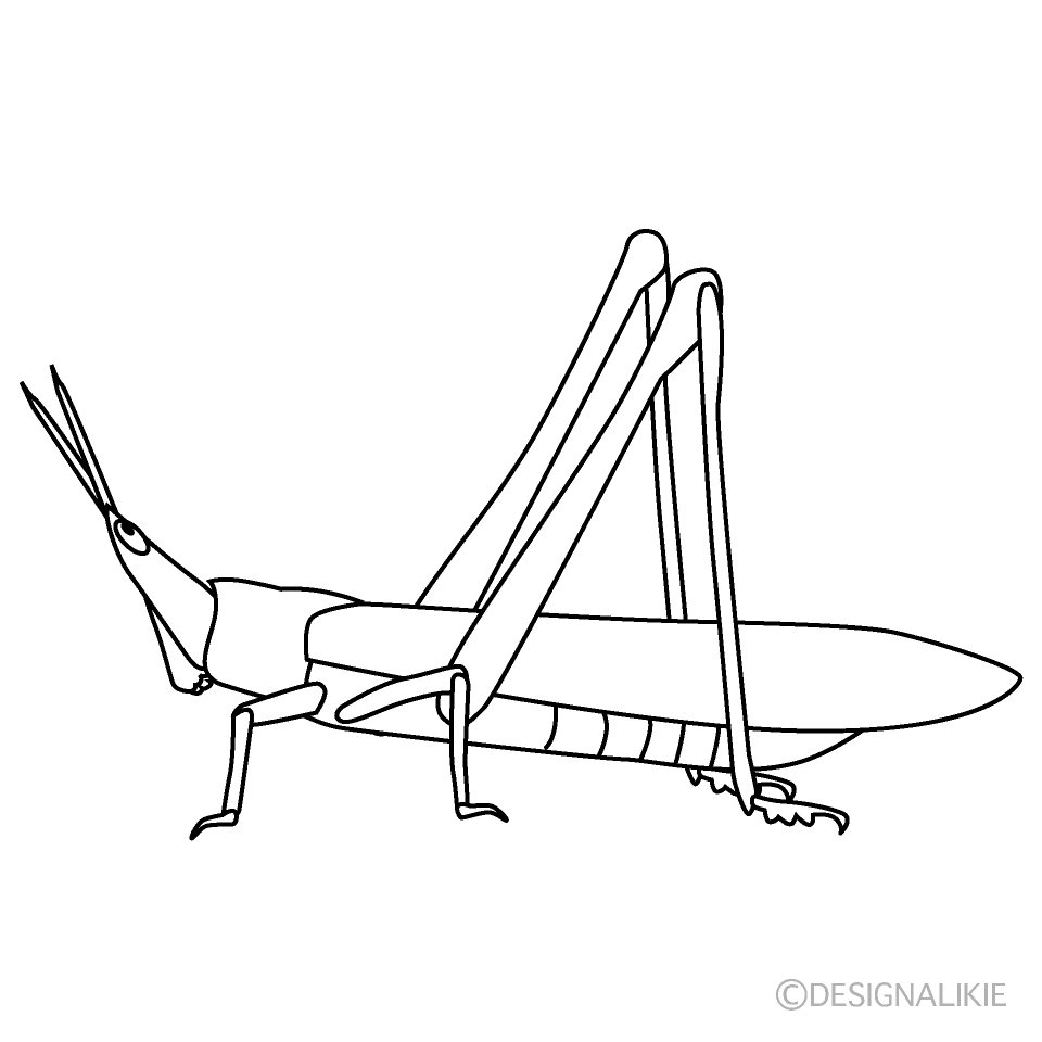 ショウリョウバッタ（白黒）