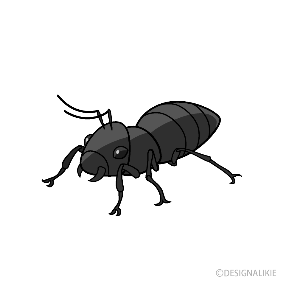 アリ