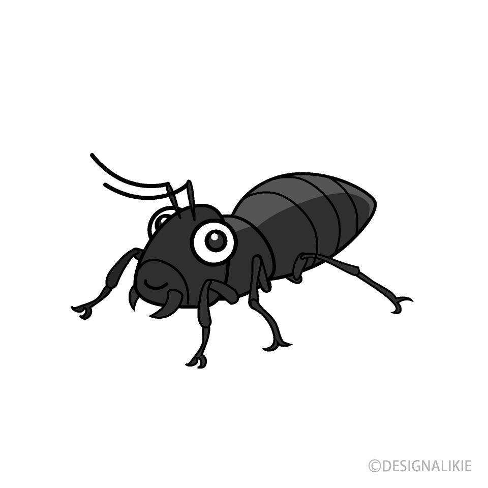 可愛いアリ