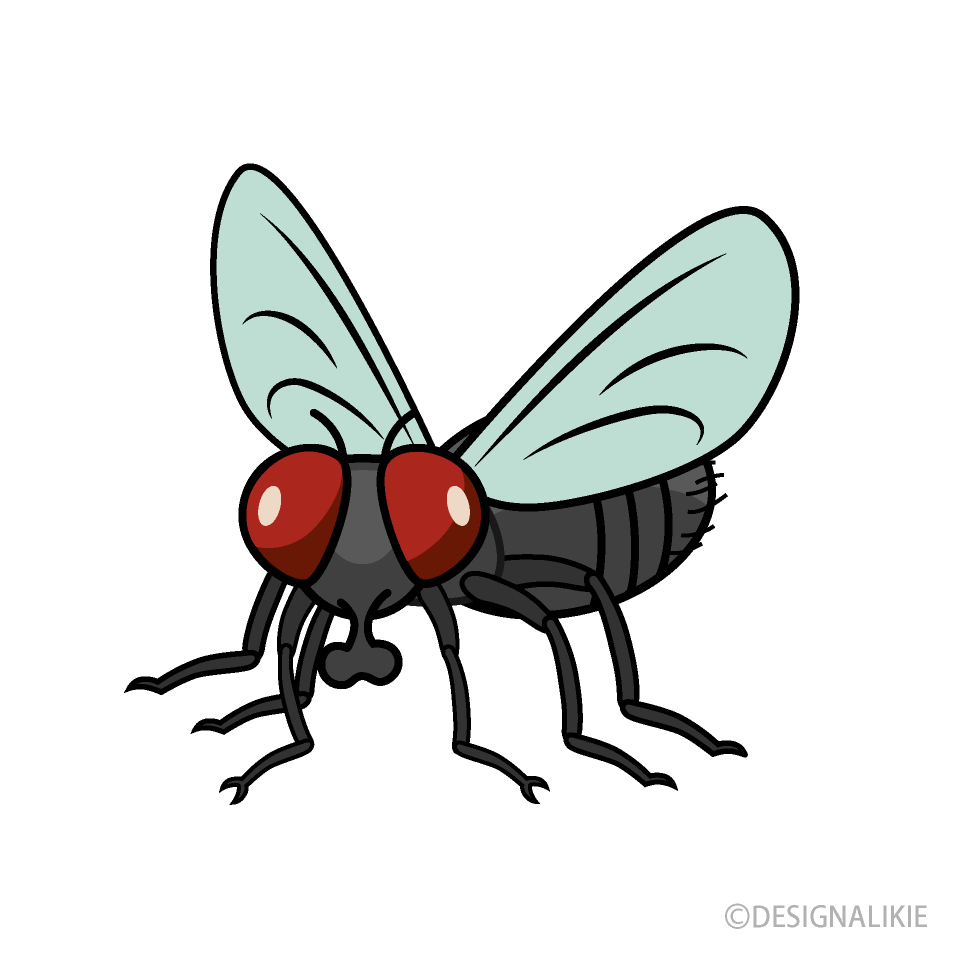 ハエ