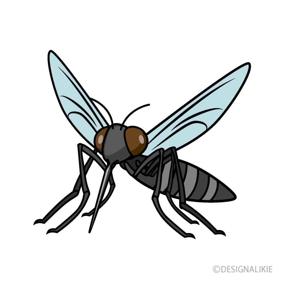 蚊