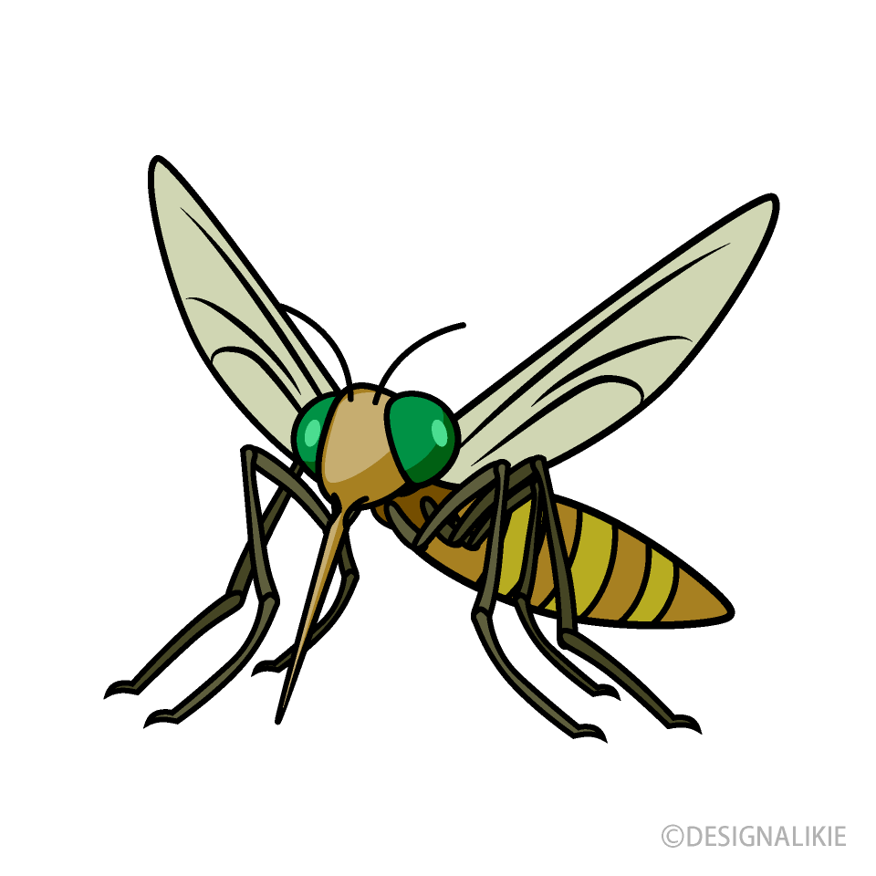 茶色蚊