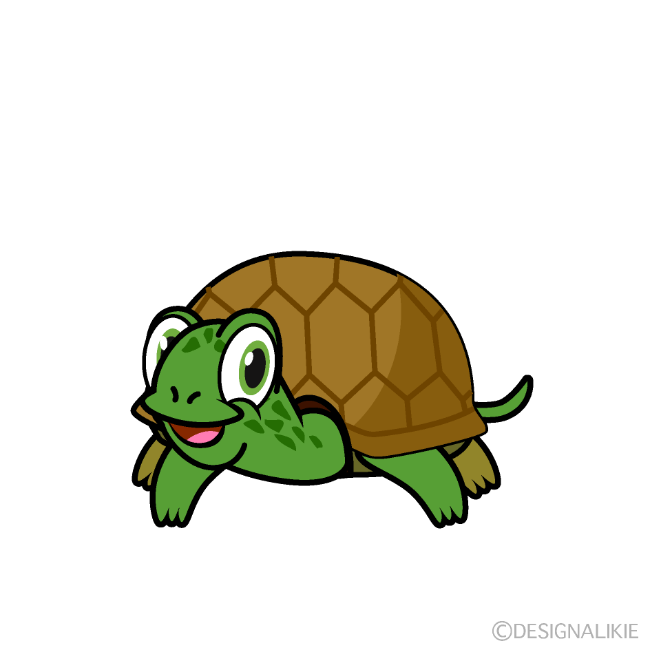 笑顔の緑カメ
