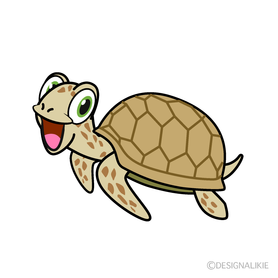 驚くウミガメ