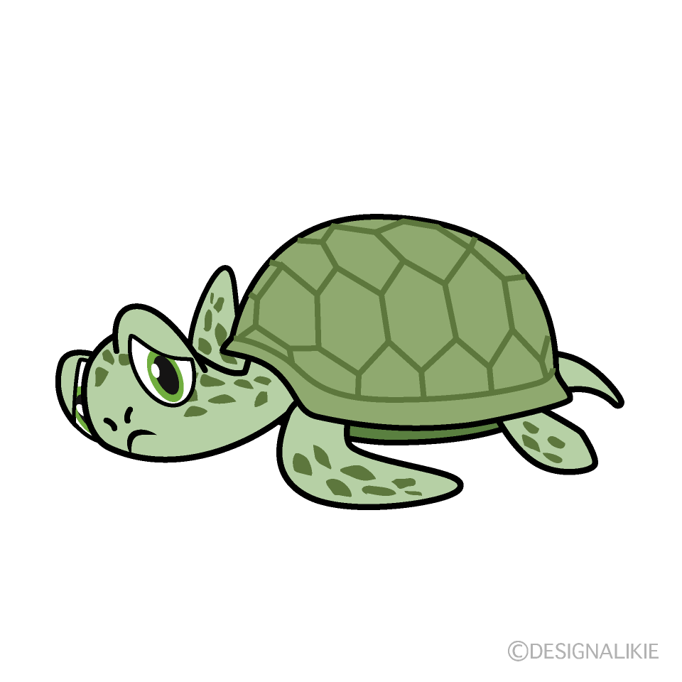 落ち込む緑ウミガメ