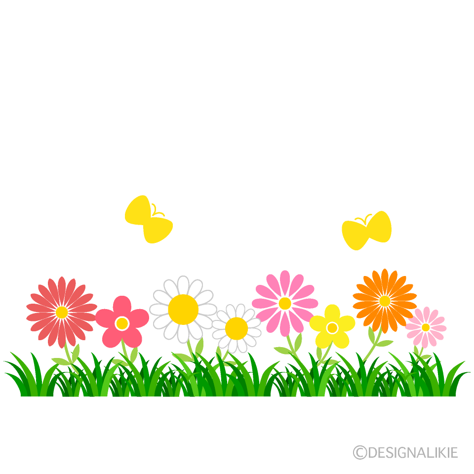 草っ原の花々