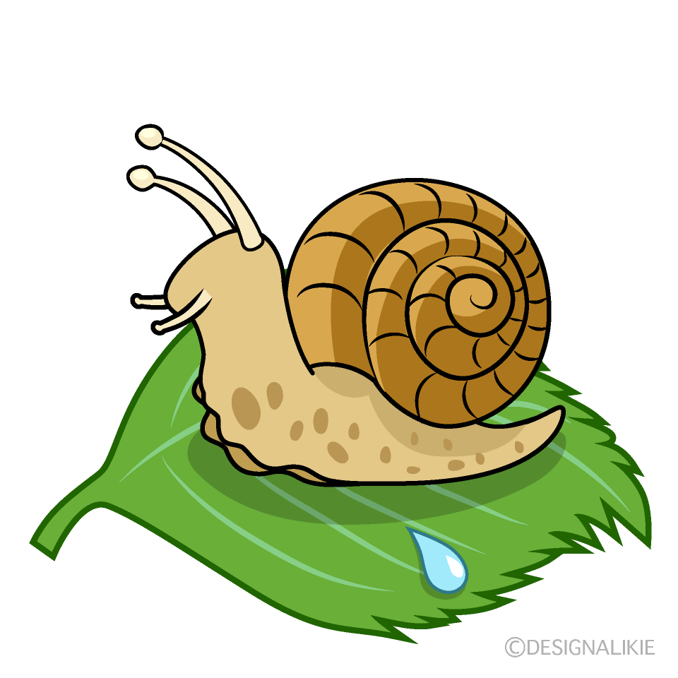 葉っぱを進むカタツムリ