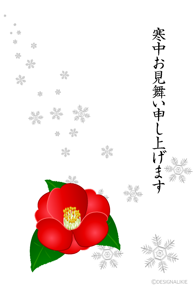 雪と椿の花の寒中見舞い
