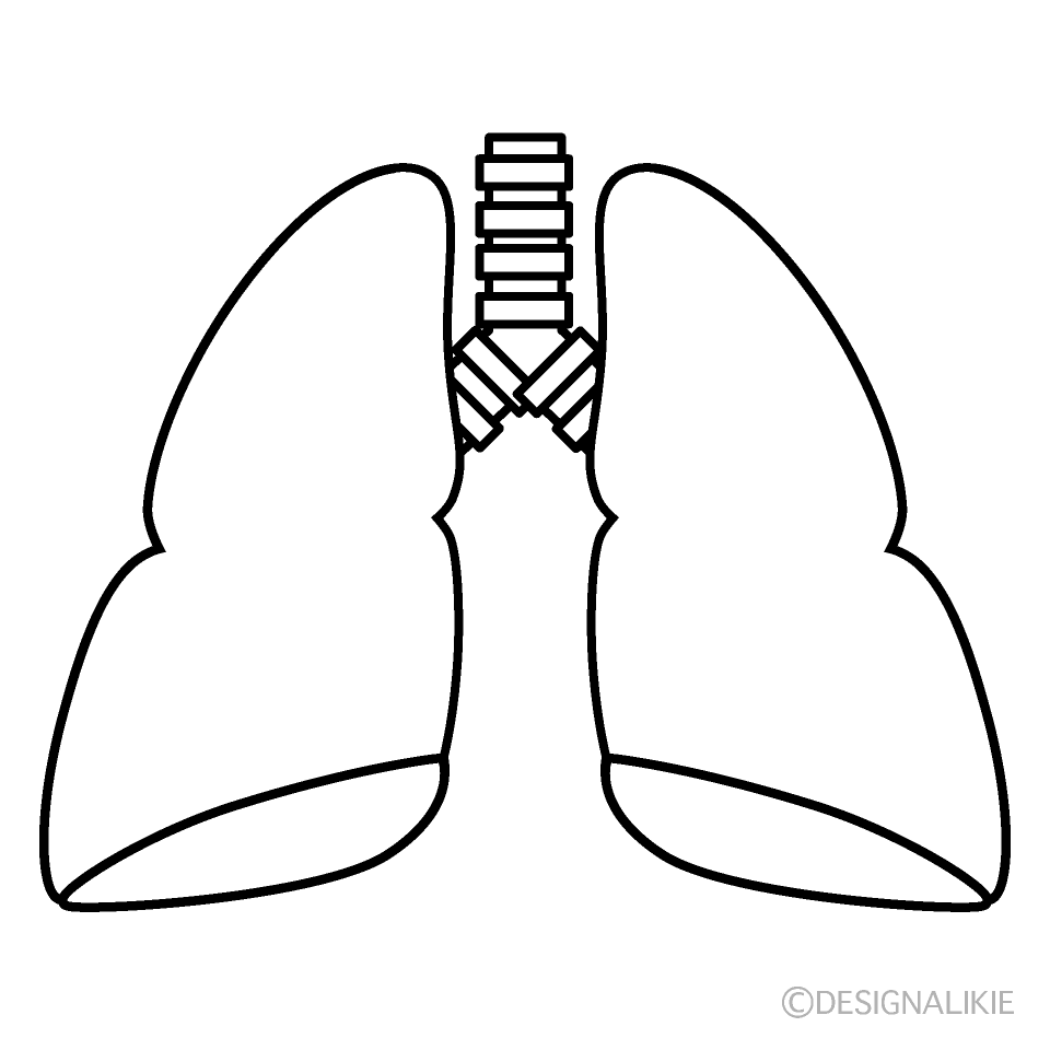 肺（白黒）