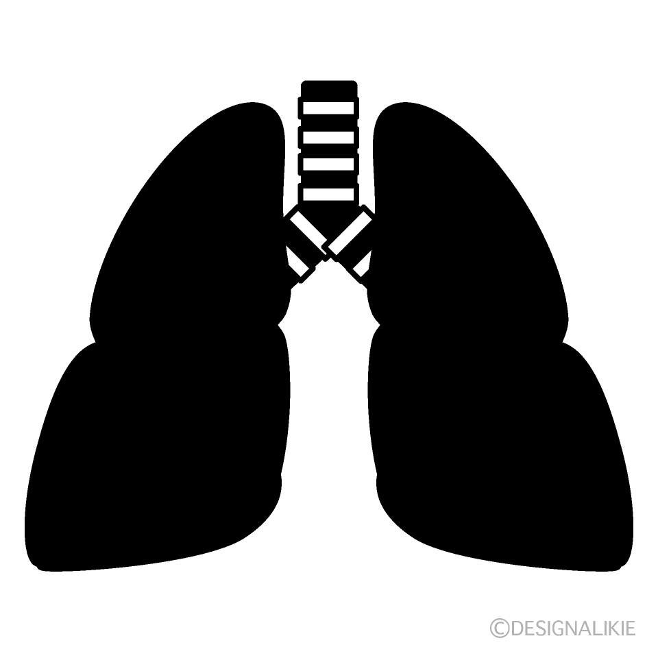 肺シルエット
