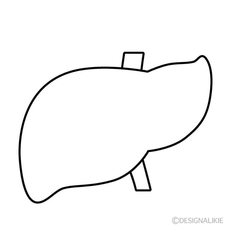 肝臓（白黒）