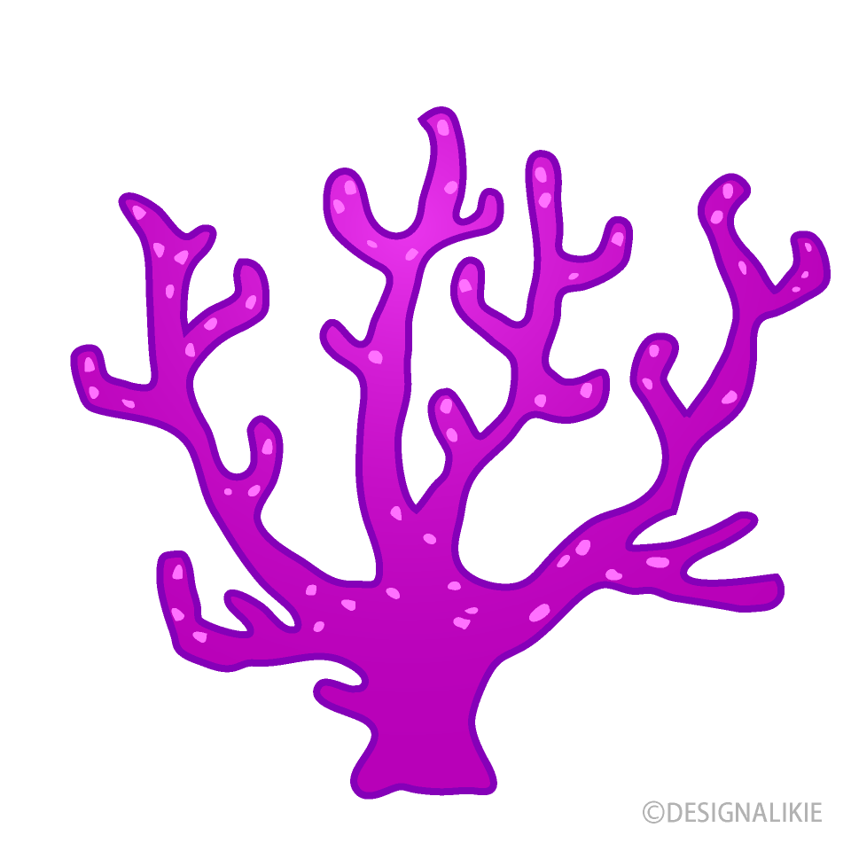 かわいい紫サンゴ