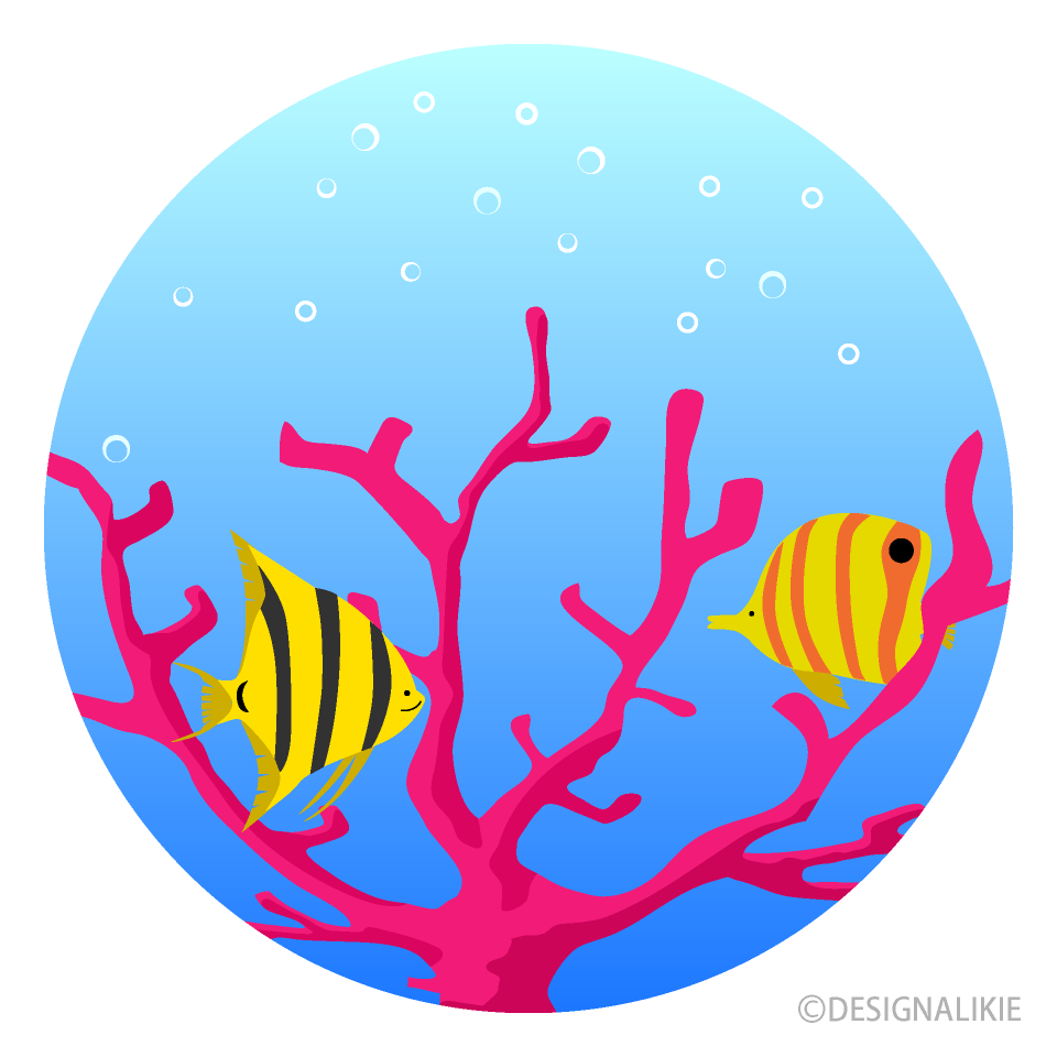 熱帯魚とサンゴ