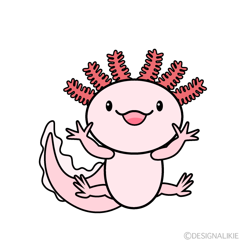 驚くウーパールーパー