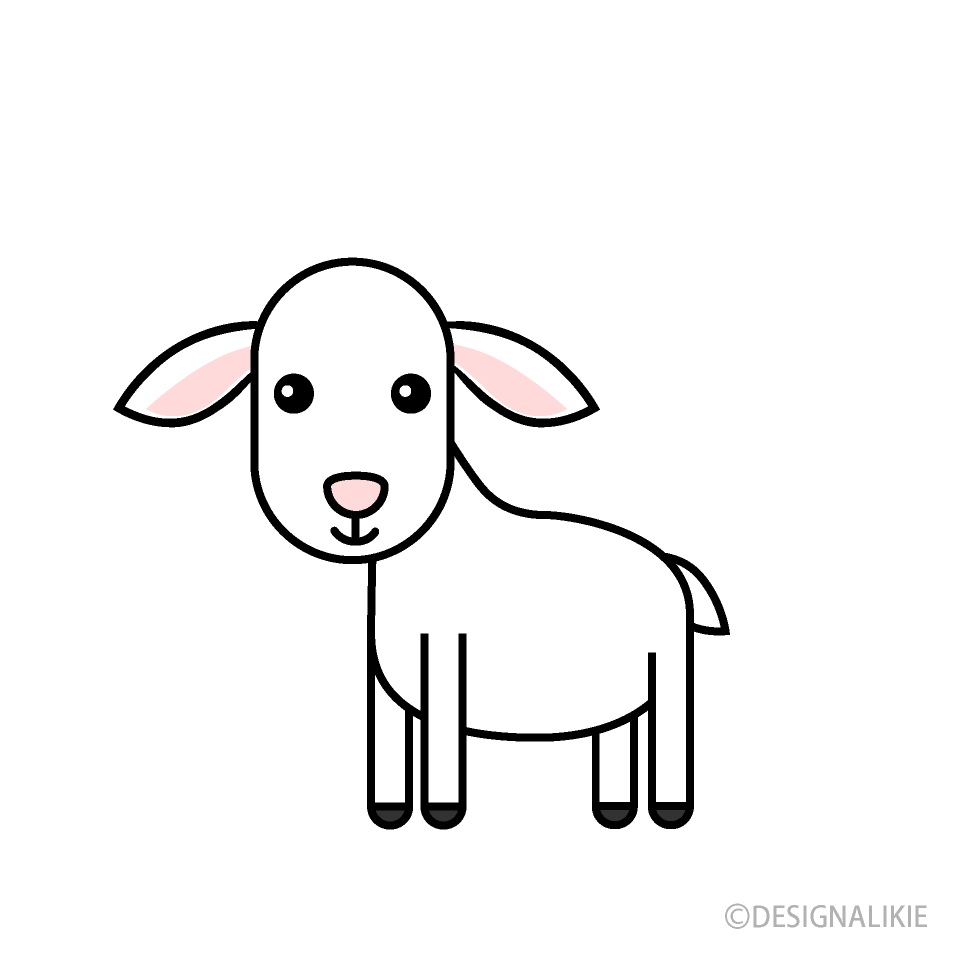 可愛い赤ちゃんヤギ
