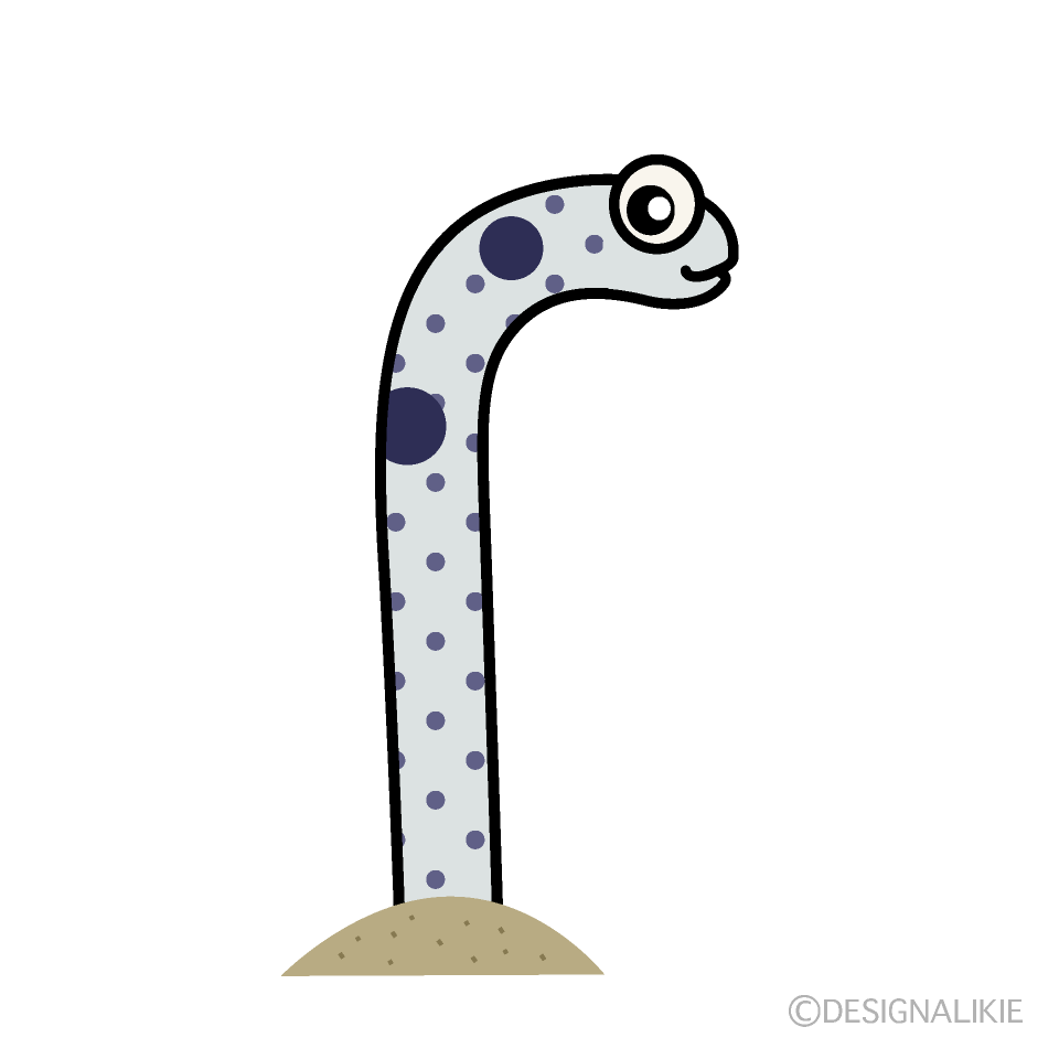 横向くチンアナゴ
