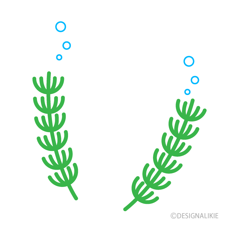 水中の水草