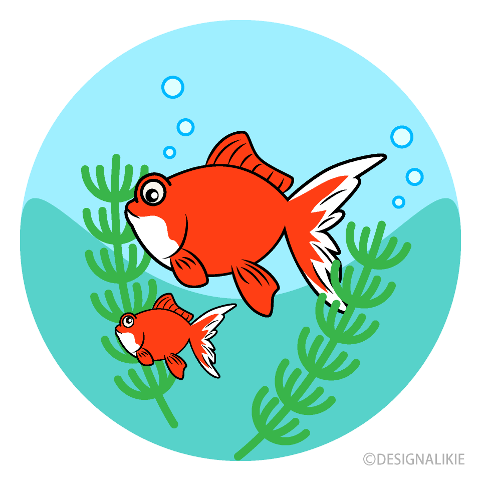 親子金魚