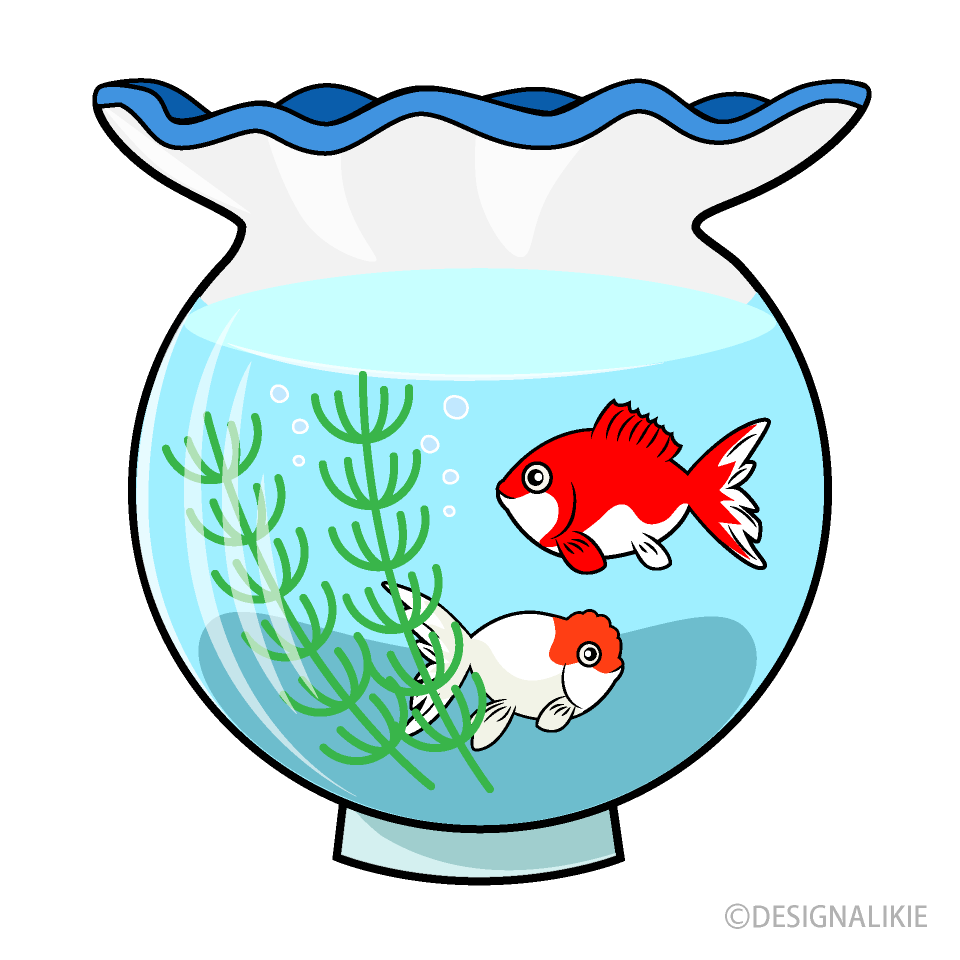 金魚鉢の金魚