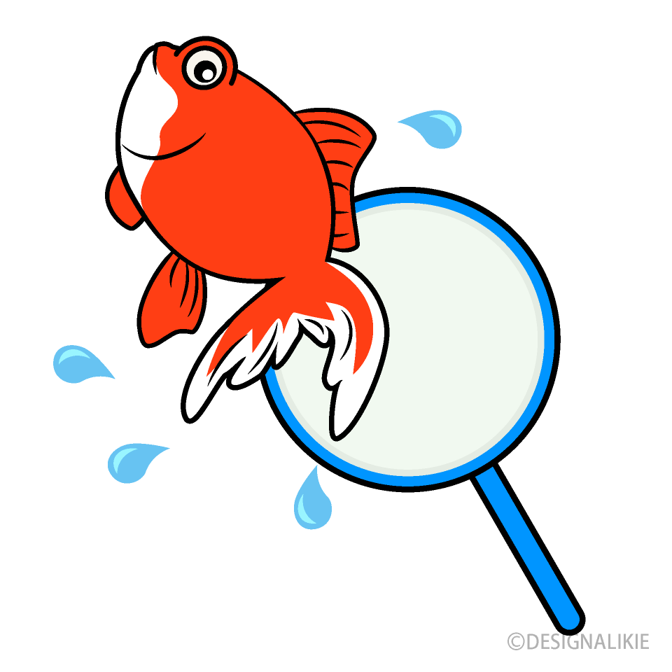 金魚すくいのぽい