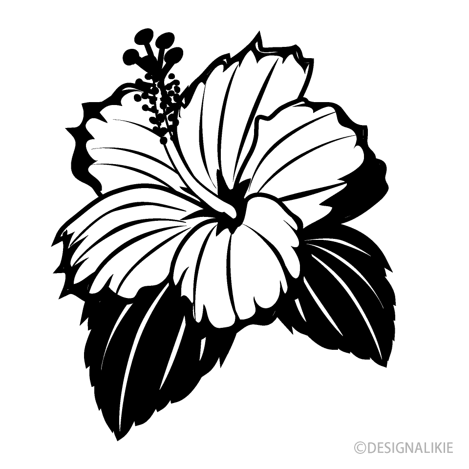 ハイビスカス（白黒）