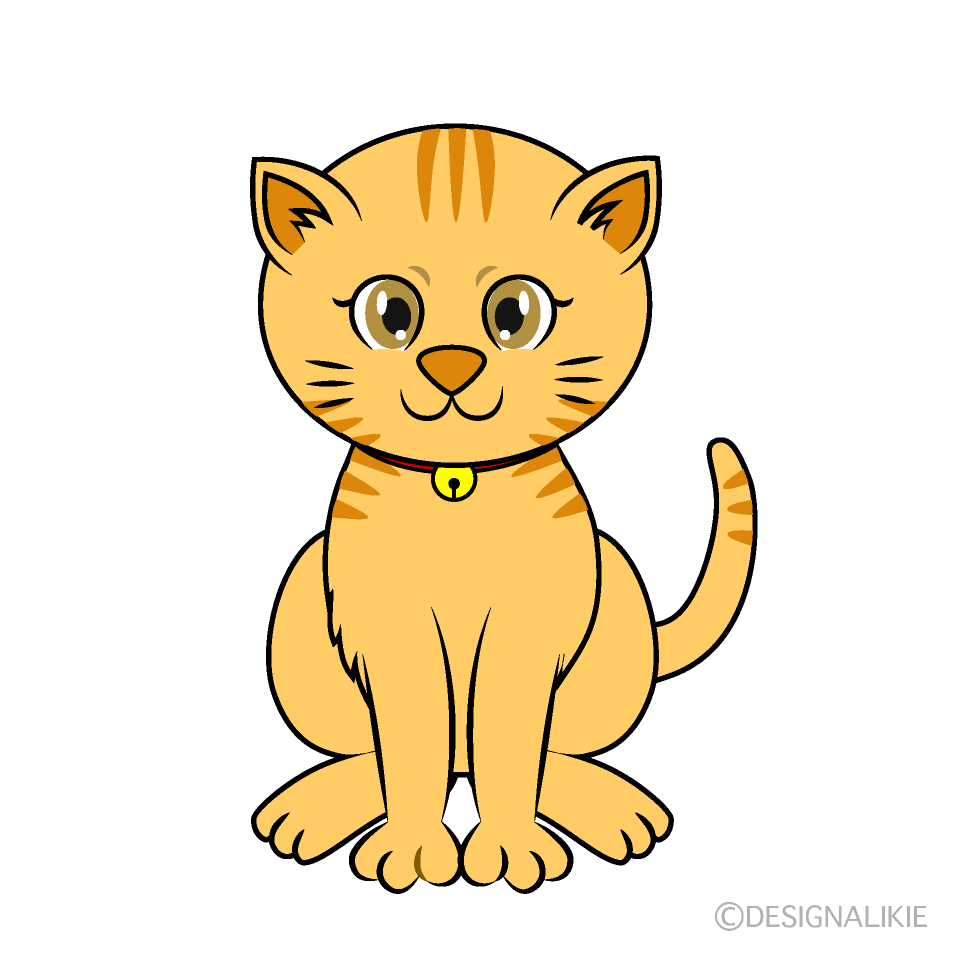 可愛い茶トラ猫
