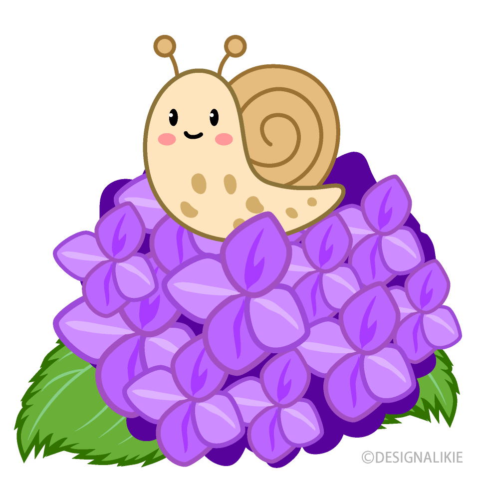 可愛いかたつむりとアジサイ