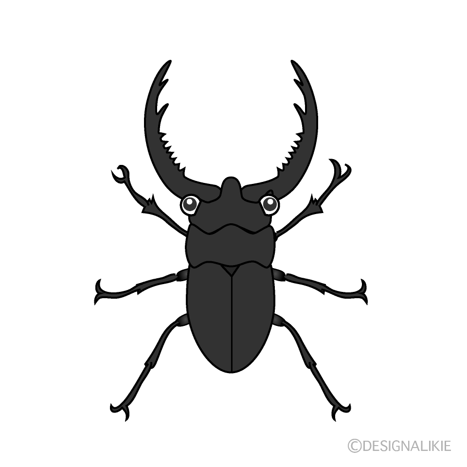 かわいいクワガタ虫