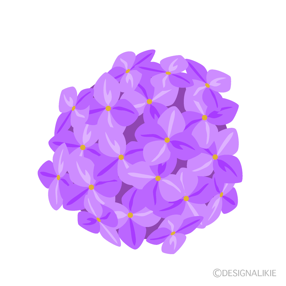 あじさいの花