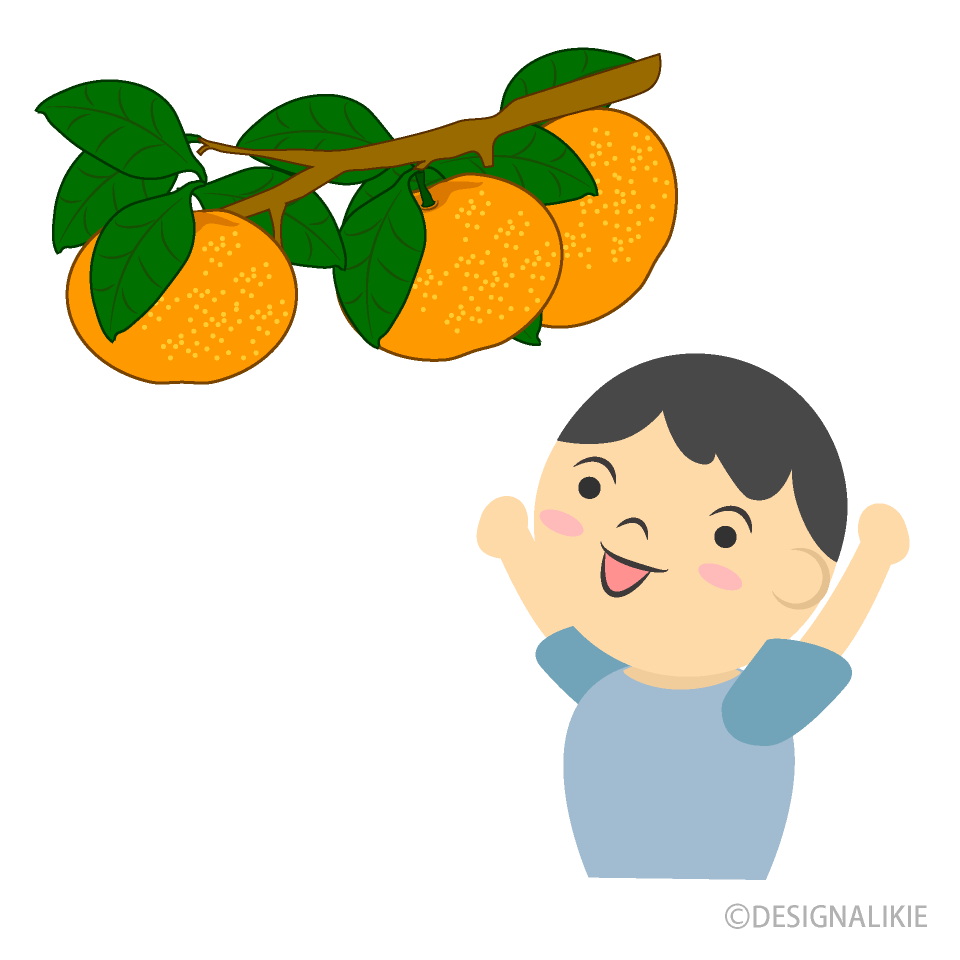 みかん狩りする男の子
