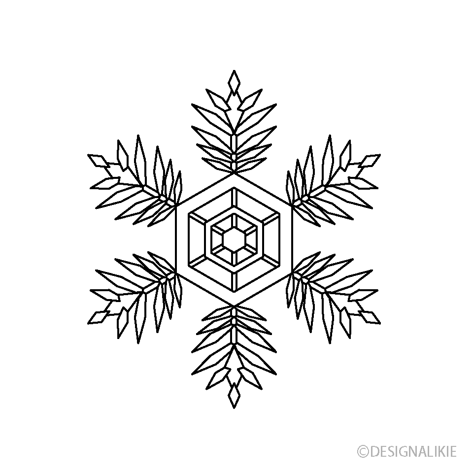 雪の結晶