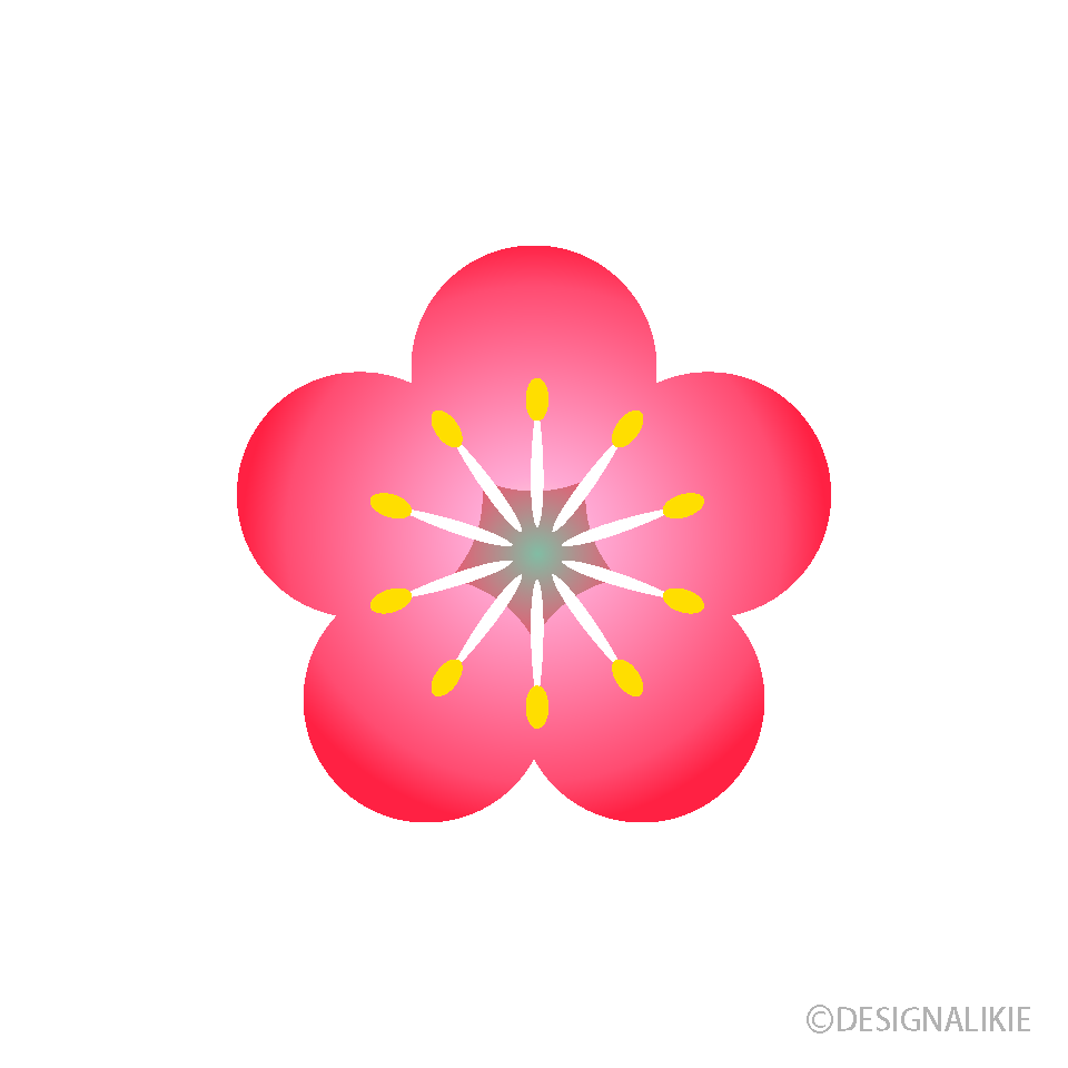 淡い梅の花